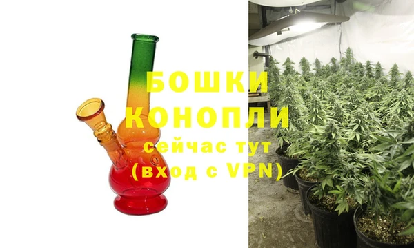 PSILOCYBIN Киреевск