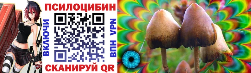 Псилоцибиновые грибы Psilocybe  Купить закладки  Гурьевск 